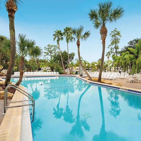 Tropical Palms Resort Celebration Dış mekan fotoğraf